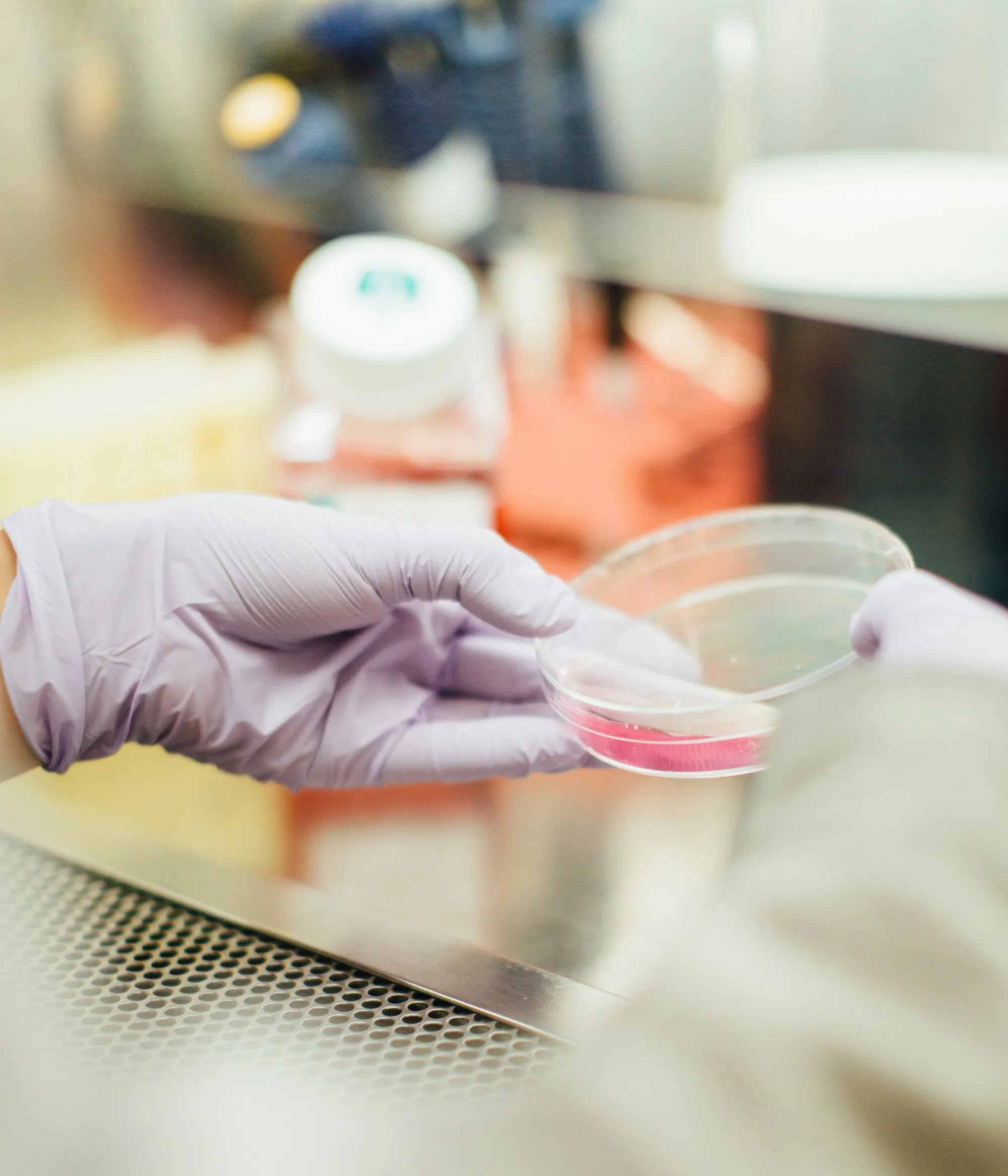Argenx Expands Immunology Pipeline with $2.2B Forte Deal