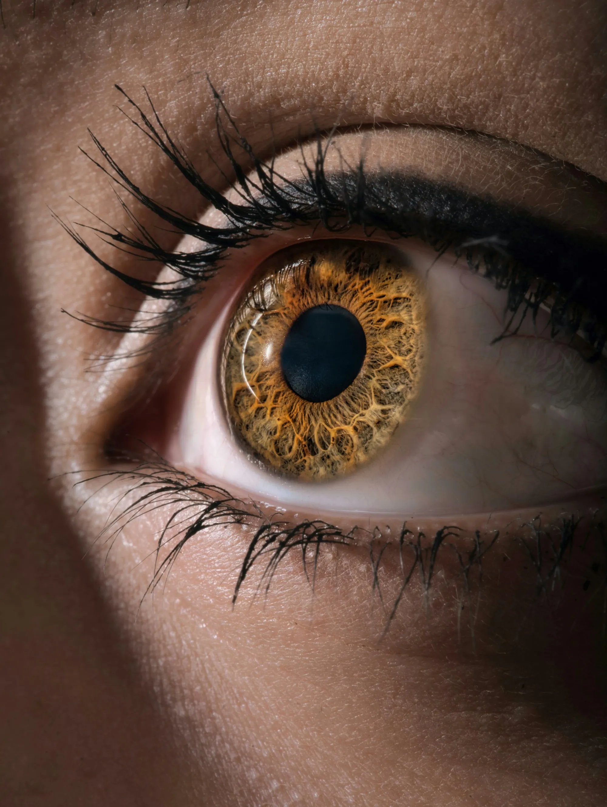 FDA Approves Lytenava: First Official Eye-Only Version of Bevacizumab for Wet AMD  