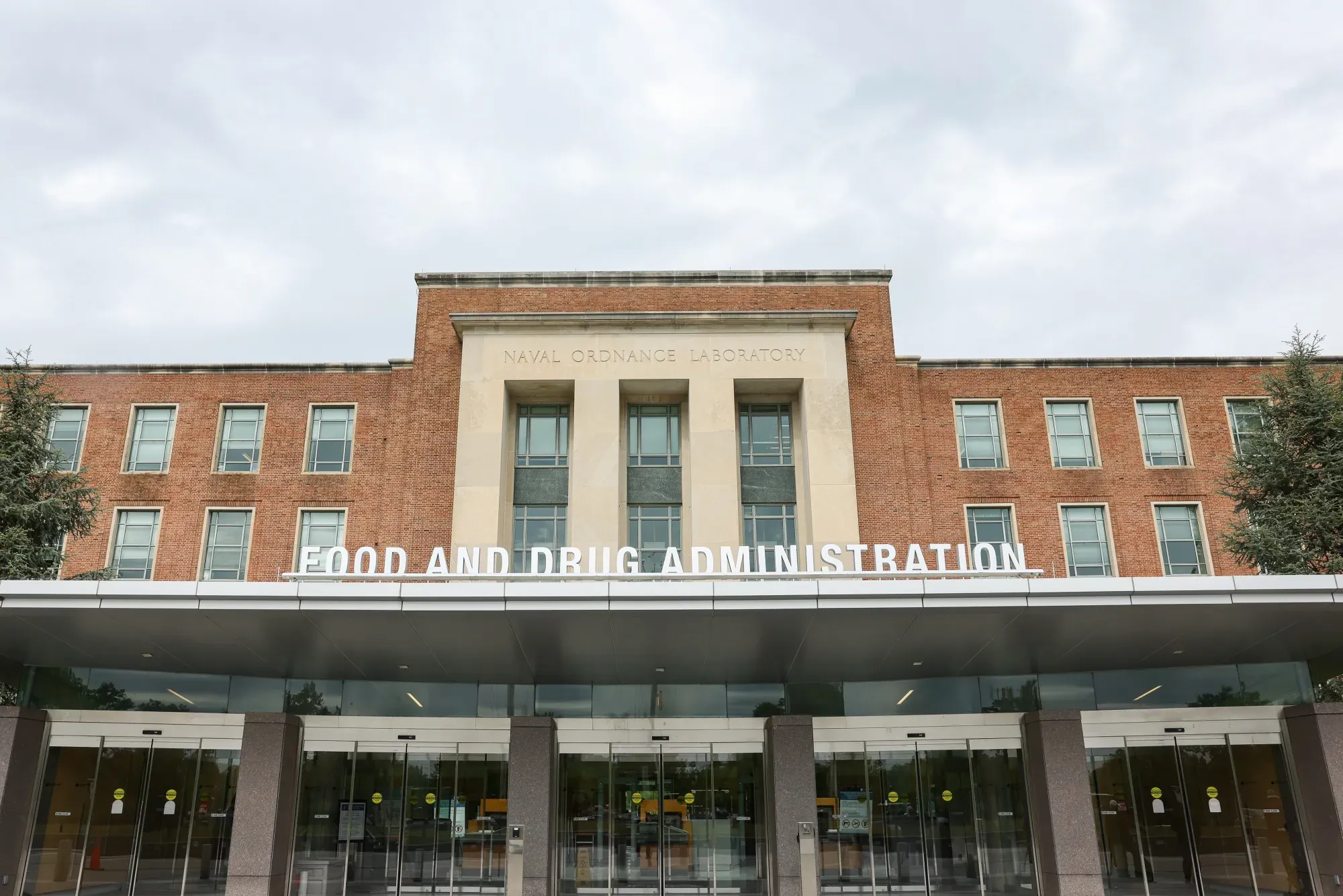 Leerink Upgrades Replimune to Outperform, Sees High Odds of FDA Approval for Melanoma Therapy  