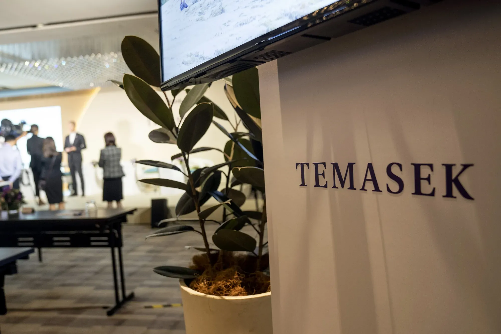 Samsung and SK Hynix Shares Surge After Temasek Investment Report