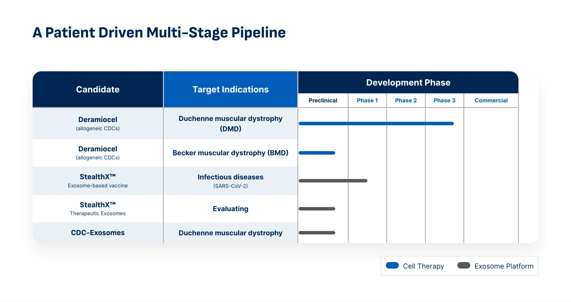 Capricor Soars After Cantor Upgrade as FDA Path for Deramiocel Becomes Clearer