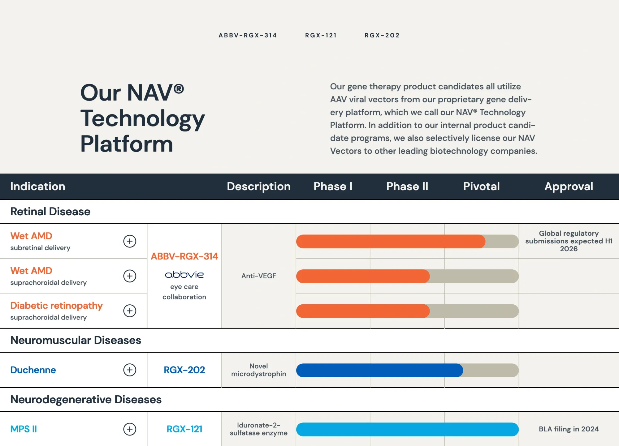 FDA Places Clinical Hold on REGENXBIO’s Gene Therapy for Hunter Syndrome