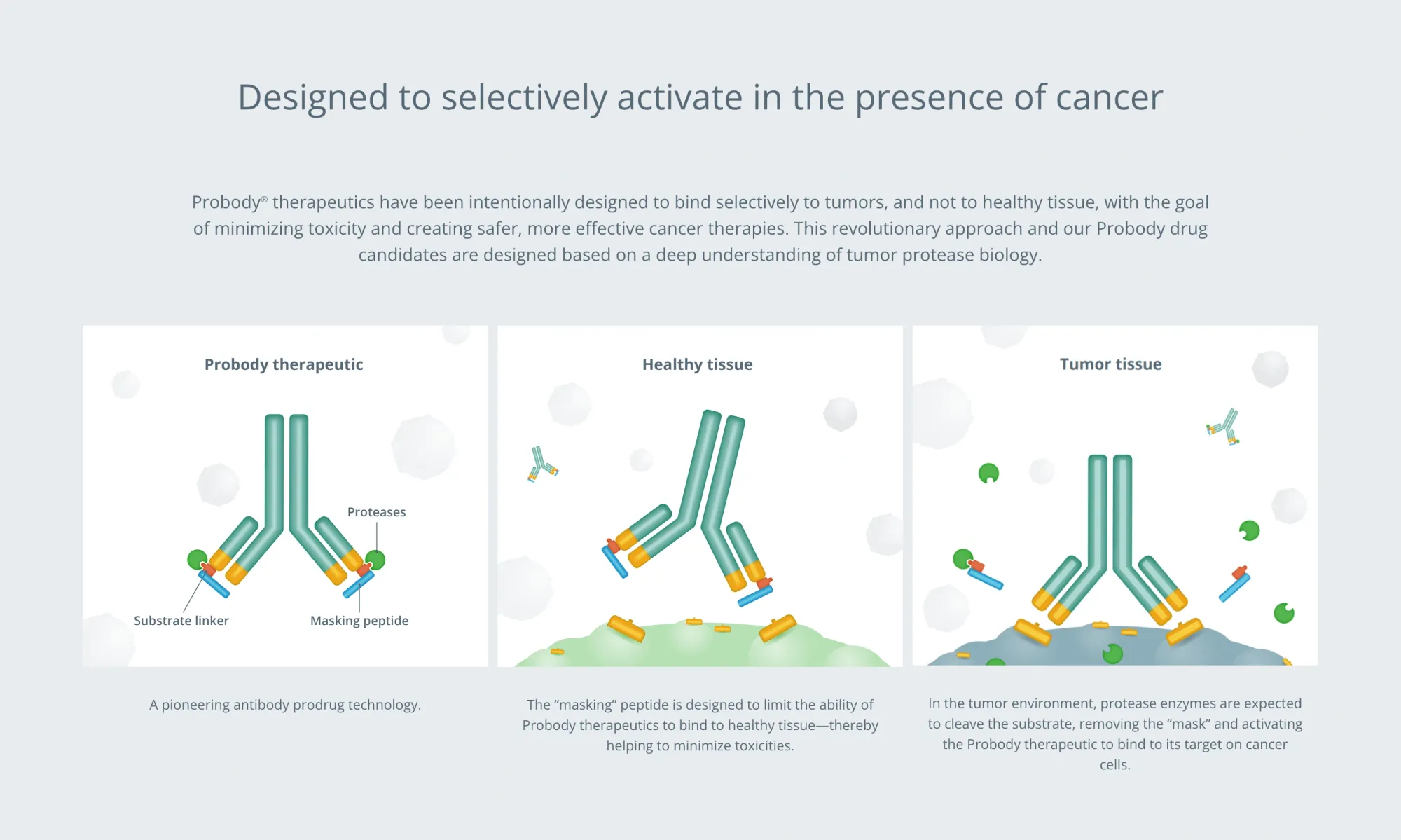 FDA Grants Fast Track to CytomX’s Varseta-M in Relapsed Metastatic Colorectal Cancer