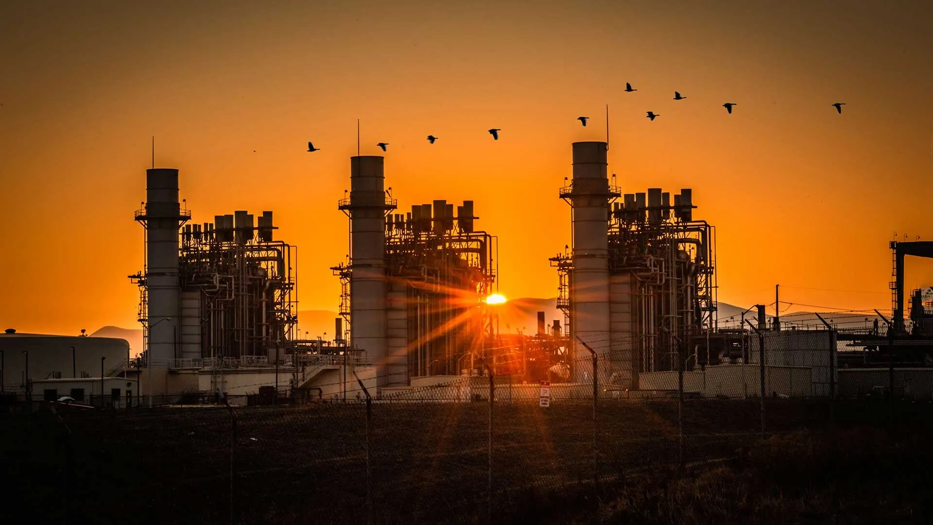 Constellation Energy Shares Surge on Strong Q2 Results and Higher Outlook
