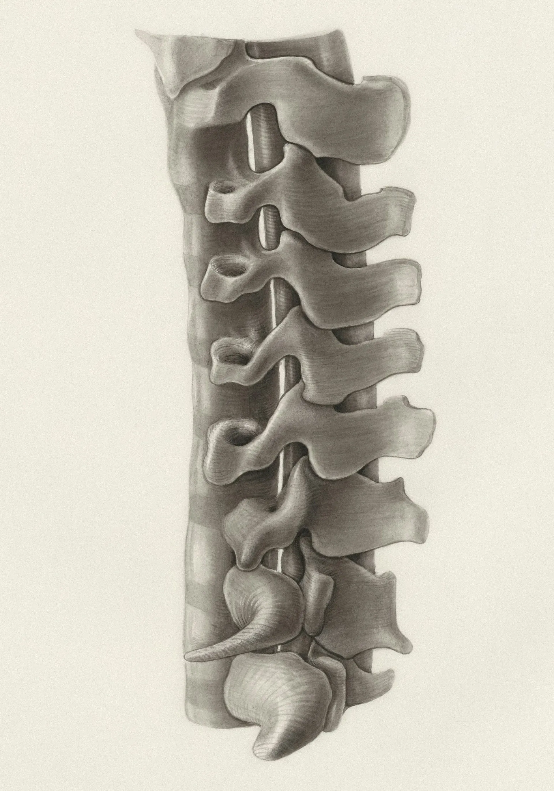 Mesoblast’s Potential Blockbuster Back Pain Therapy Moves Closer as Phase 3 Treatment Completes