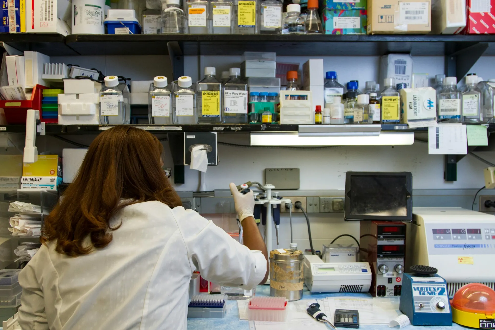 Solid Biosciences and Stoke Therapeutics Get Fresh Bullish Analyst Backing with Big Upside Targets  