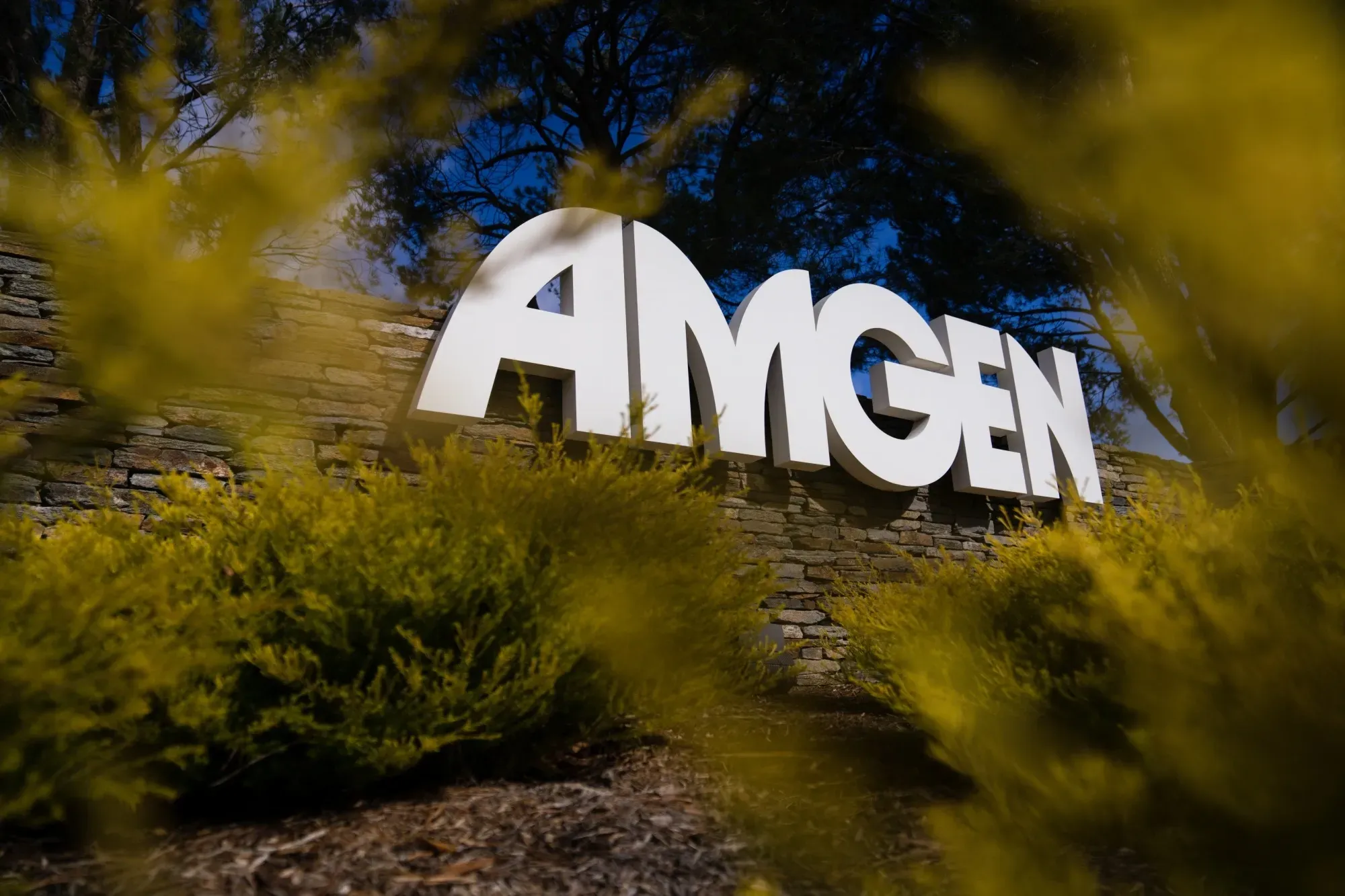 Amgen Slides After BMO Downgrade and Rival Heart-Drug Miss