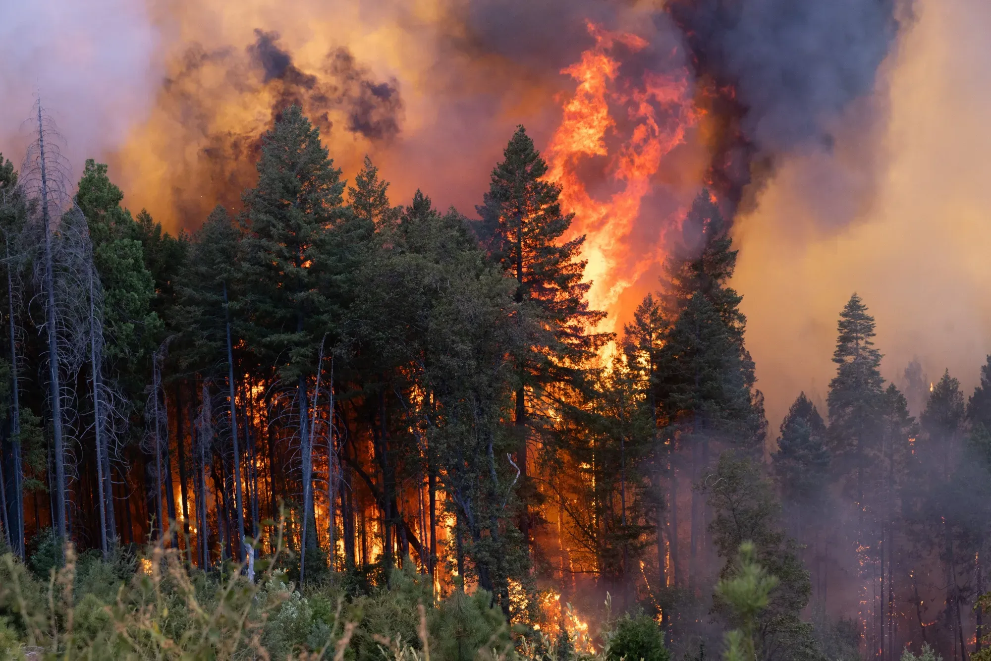 California Utility Stocks Rise After Lawmakers Kill Wildfire Liability Bill