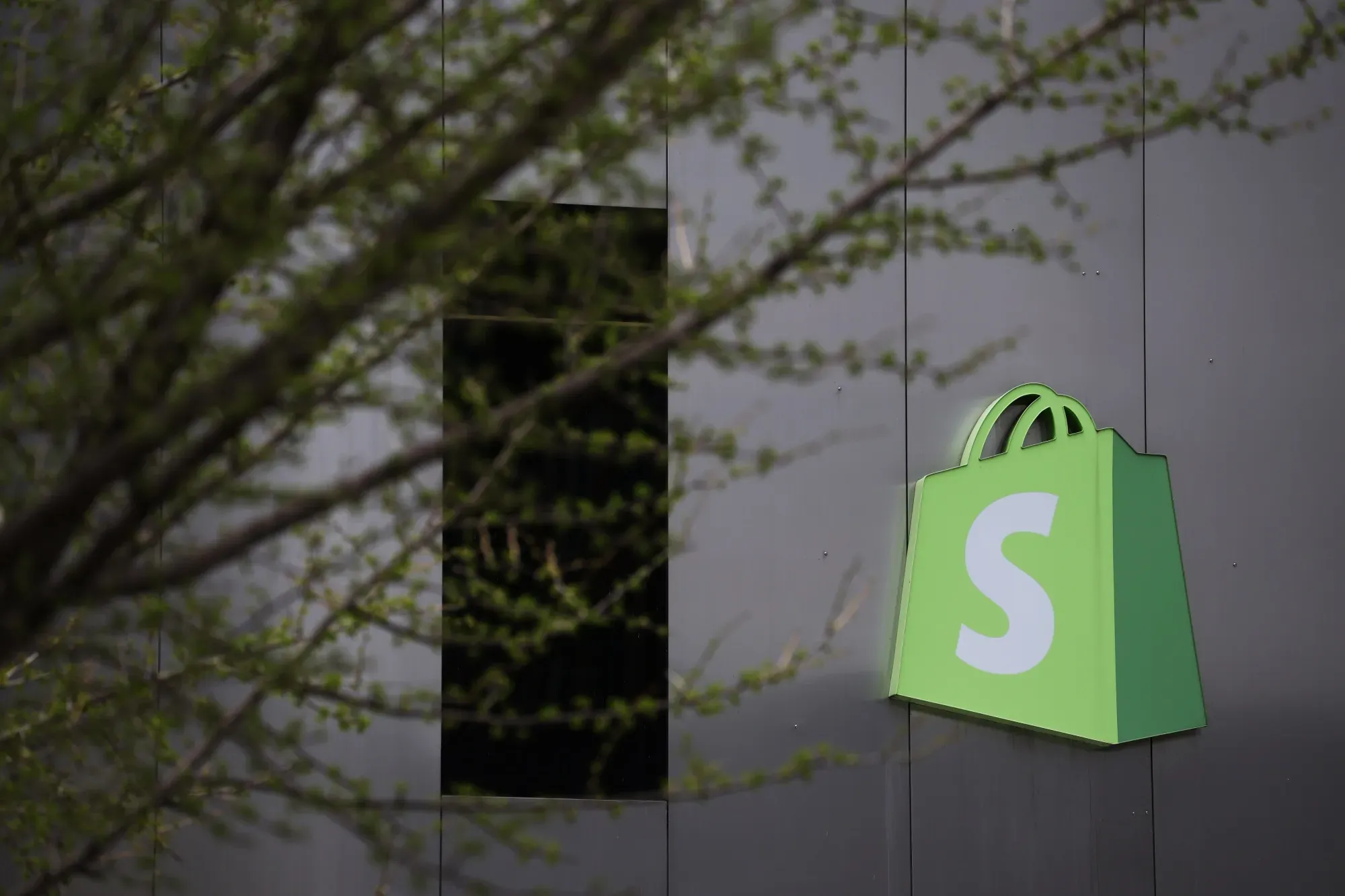 Shopify Lets Meta’s Muse Shop and Check Out With Shop Pay