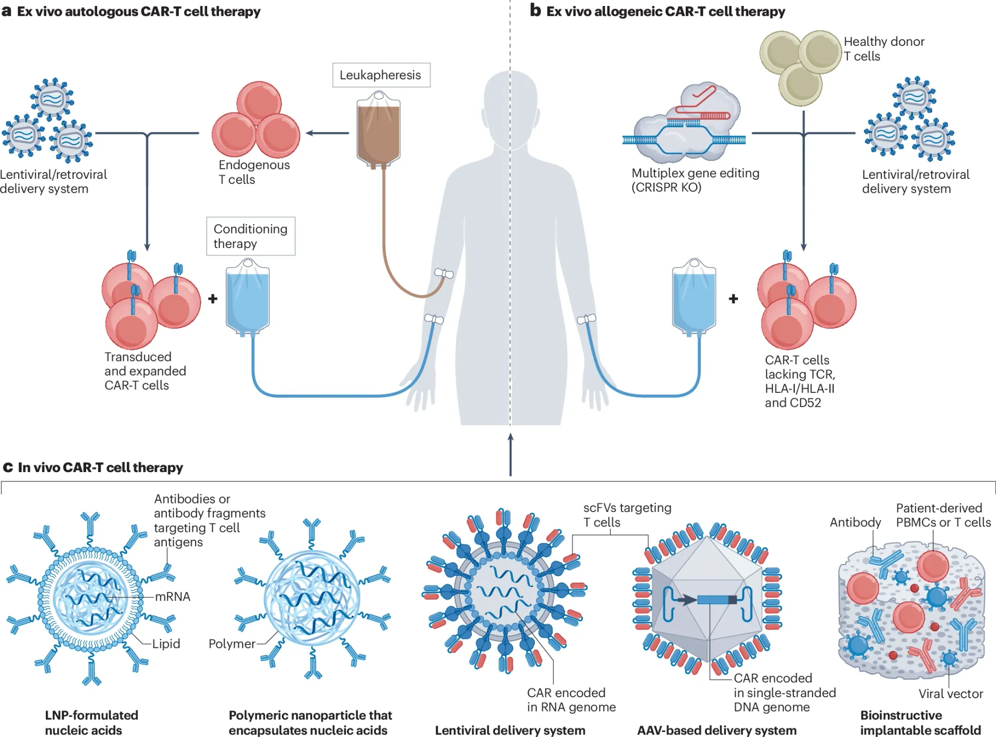 Tempest Adds Second In-Vivo CAR-T Approach with Senlang Deal