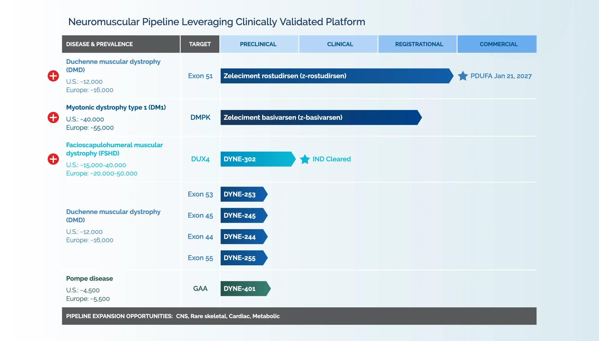 Novartis Failure Raises Questions for Dyne’s 2027 DM1 Readout
