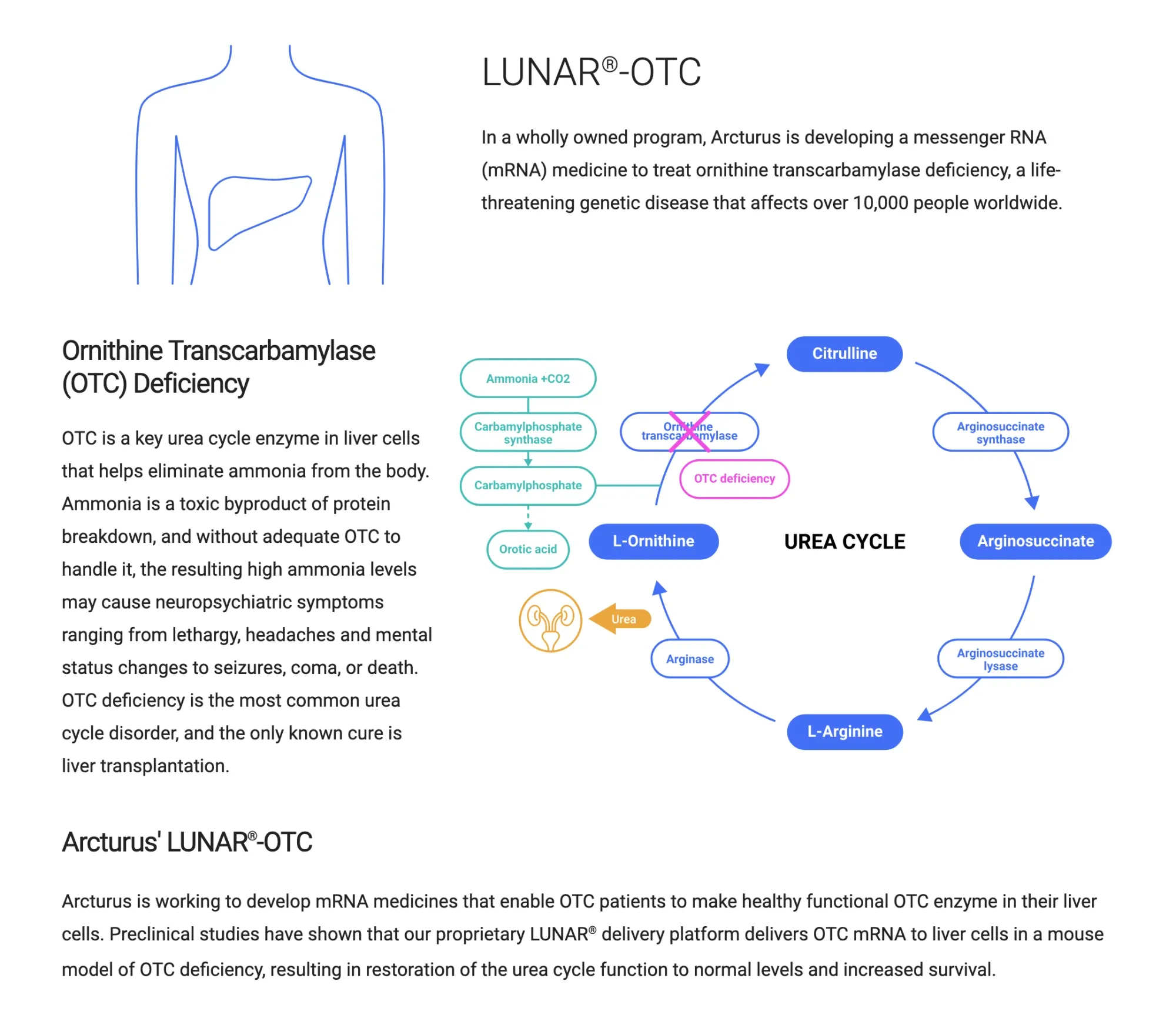 Arcturus Reports Encouraging Phase 2 Data in OTC Deficiency and Unveils Next-Gen LUNAR 2.0 Platform