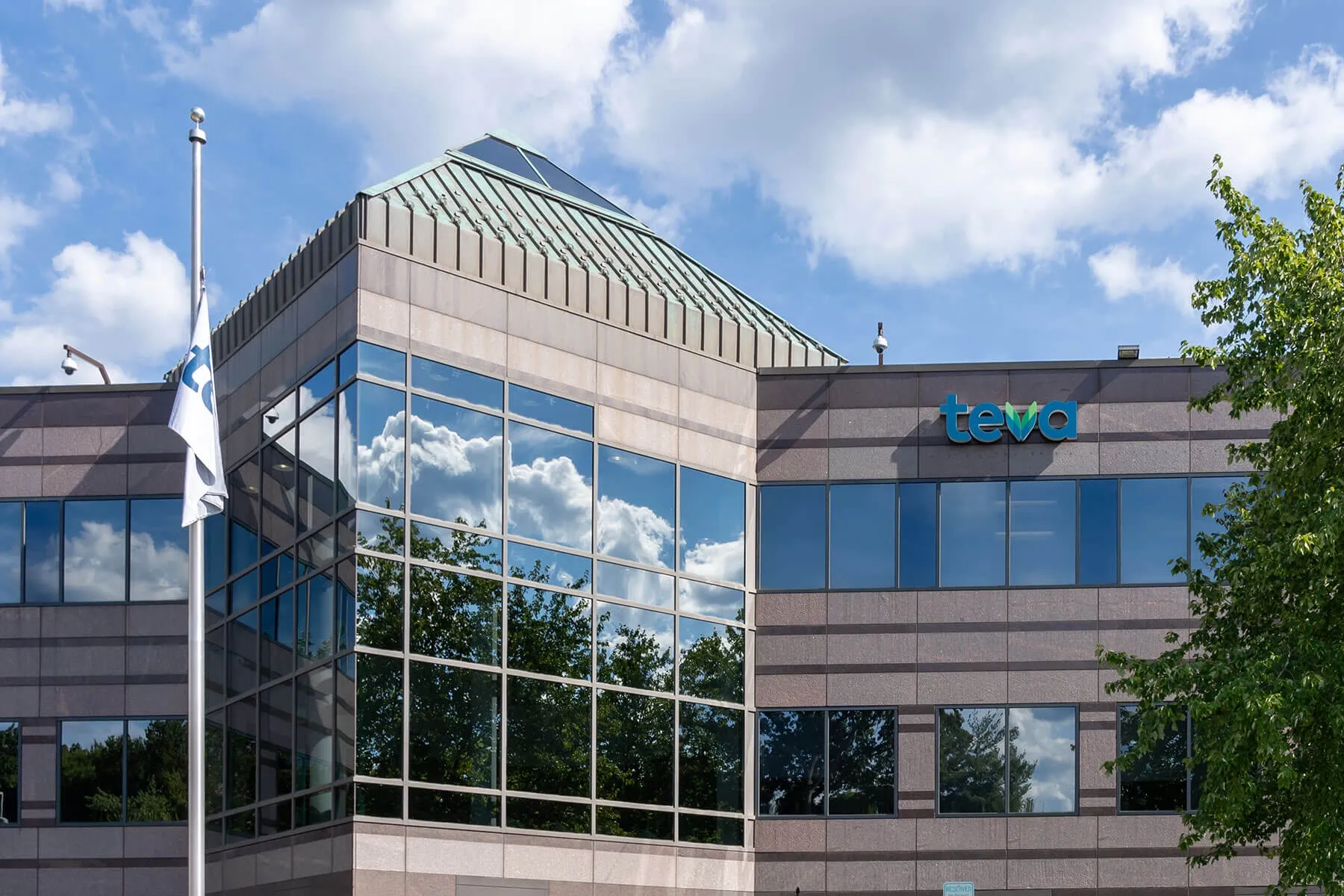 Teva’s Anti-IL-15 Antibody Meets Main Goal in Celiac Disease Study