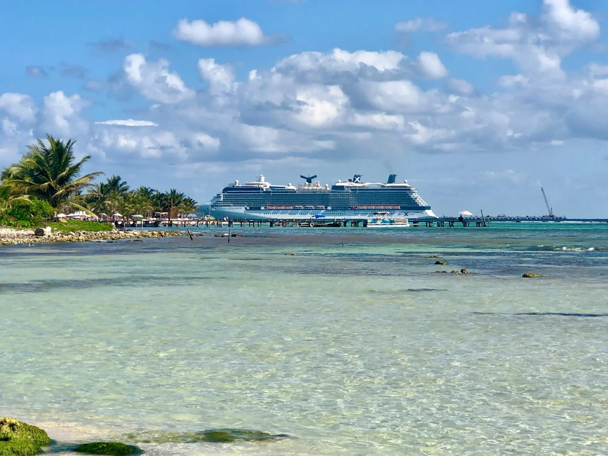 Carnival Beats Earnings Forecast as Cruise Demand Holds Up