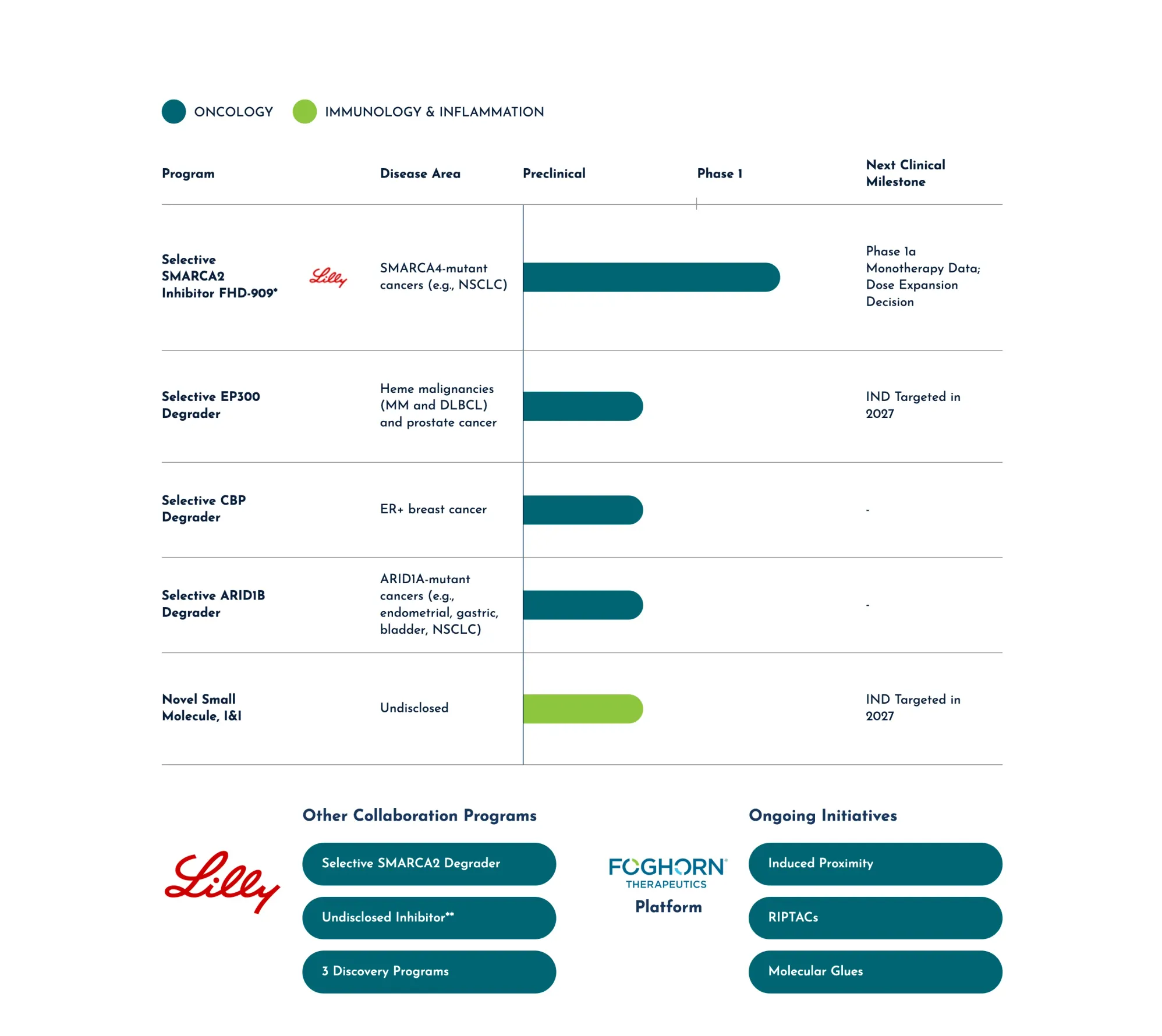 Foghorn Therapeutics and Eli Lilly End SMARCA2 Cancer Program After Weak Phase 1 Results, Cut 40% of Staff
