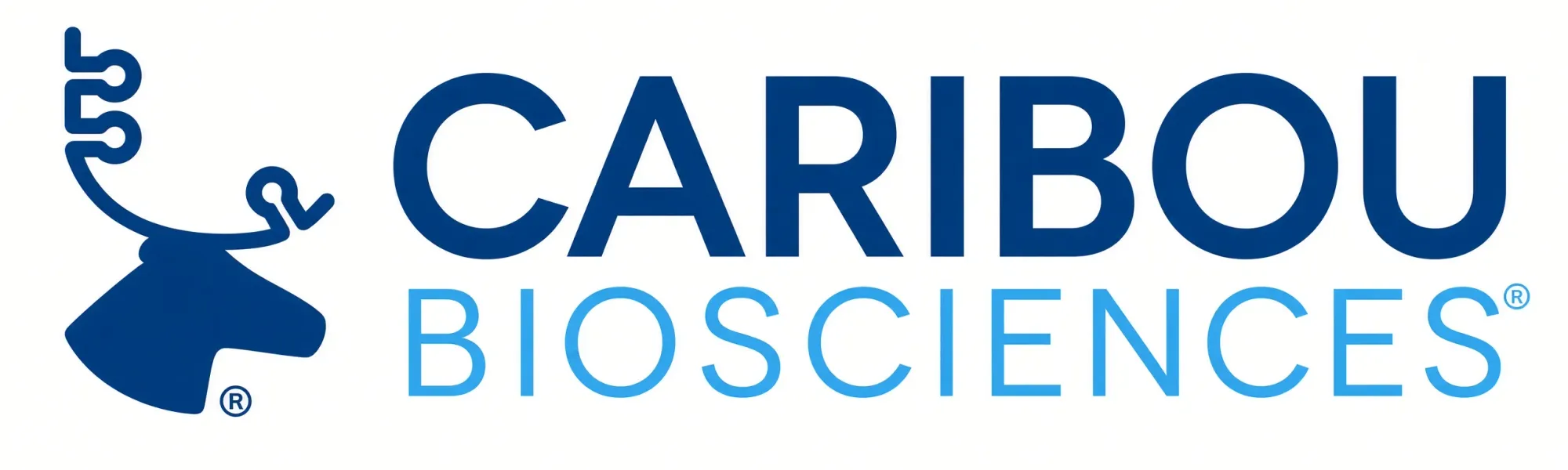 Caribou Biosciences Halts Two Off-the-Shelf CAR-T Programs and Weighs a Sale or Merger