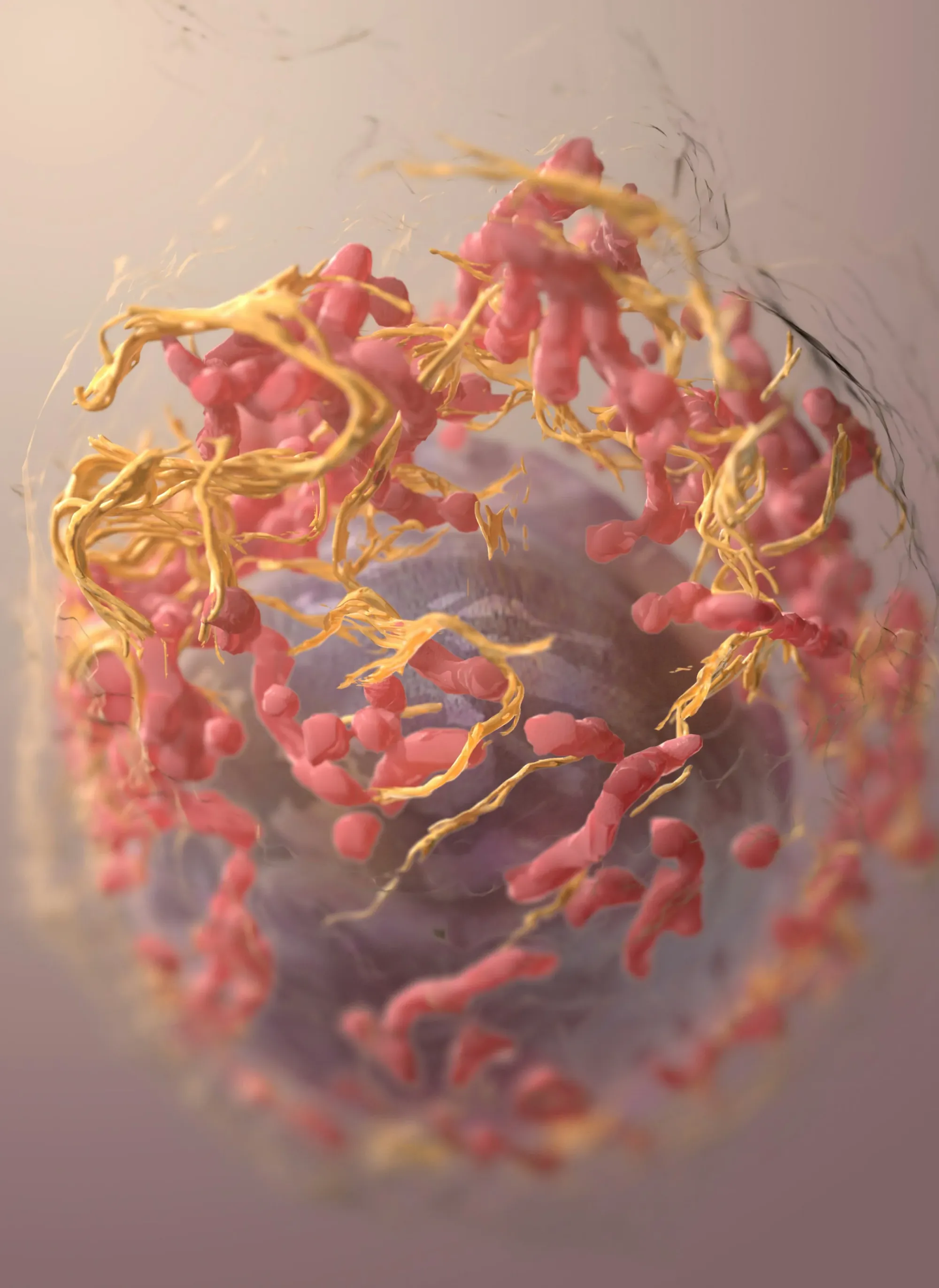 Potential Data Leak Hits Moderna, Merck Ahead of Cancer Vaccine Presentation