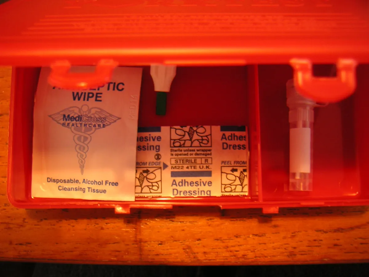 Adaptive: Why Analysts See It as a Dominant Force