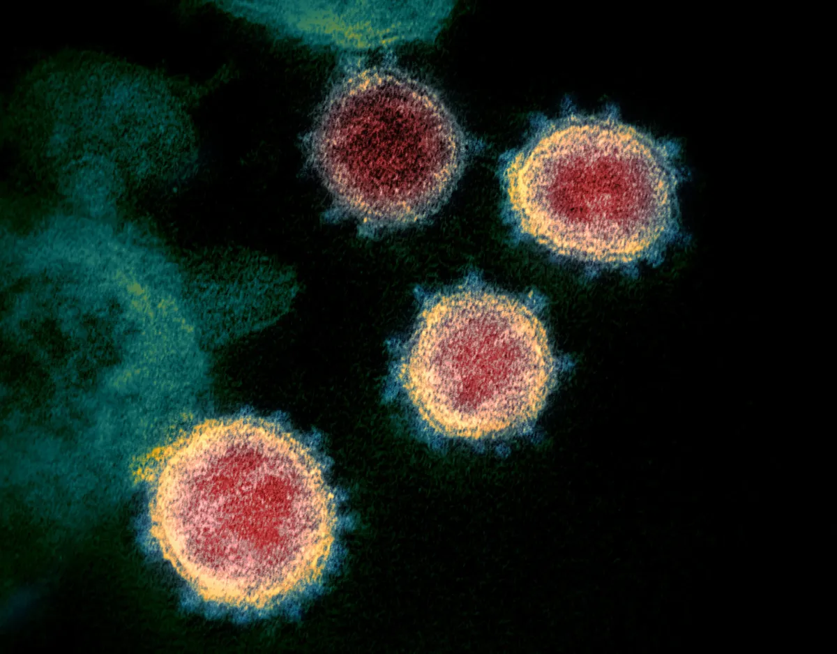 Moderna Rises on Release of Positive Results for the Reformulated COVID Vaccine