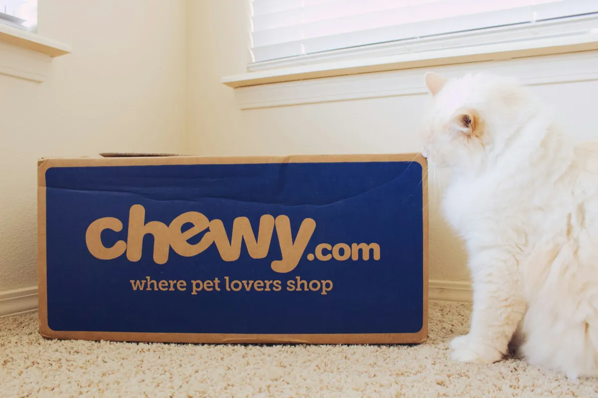 Chewy's Paradox: Profit Decline Amidst Sales Growth and Customer Surge