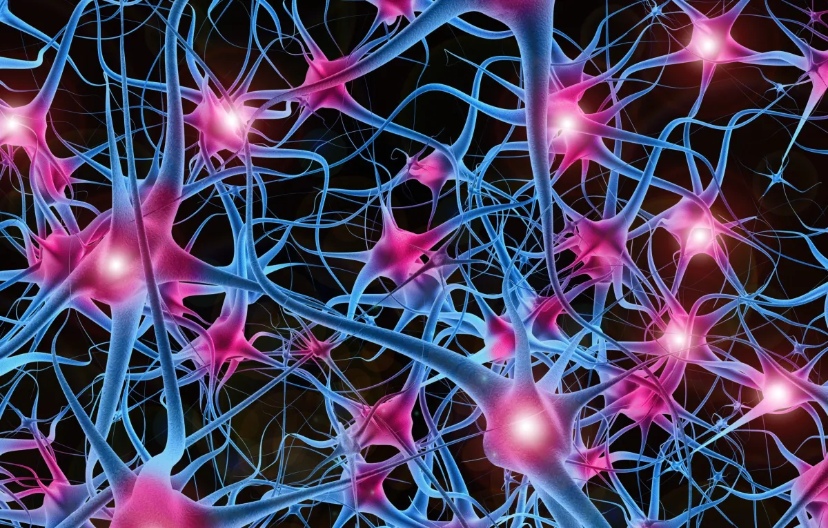 Alto Neuroscience Gets $50M Boost and FDA Green Light for Depression Treatment