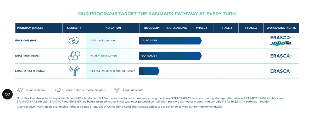 Erasca Stock Gets Buy Rating: Analyst Sees Huge Potential in Cancer Drug