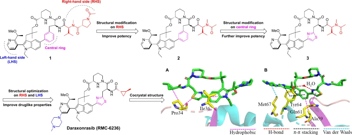 Revolution Medicines Receives FDA Priority Voucher for Cancer Drug Daraxonrasib