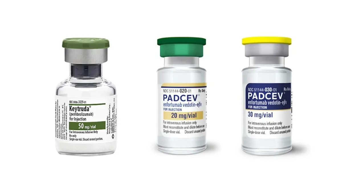 FDA Approves Keytruda + Padcev Combo for Bladder Cancer Surgery Patients