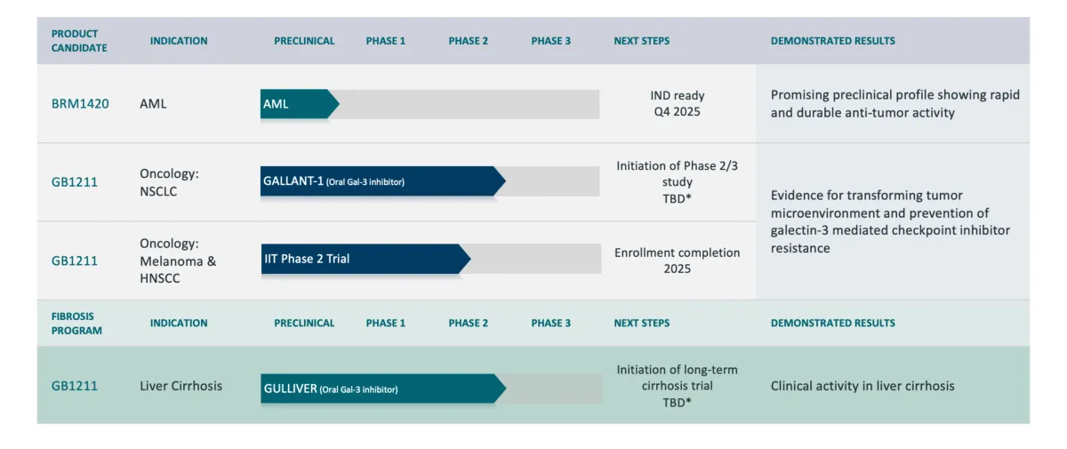 Galecto Gains Momentum with New Drug Class and Strong Funding