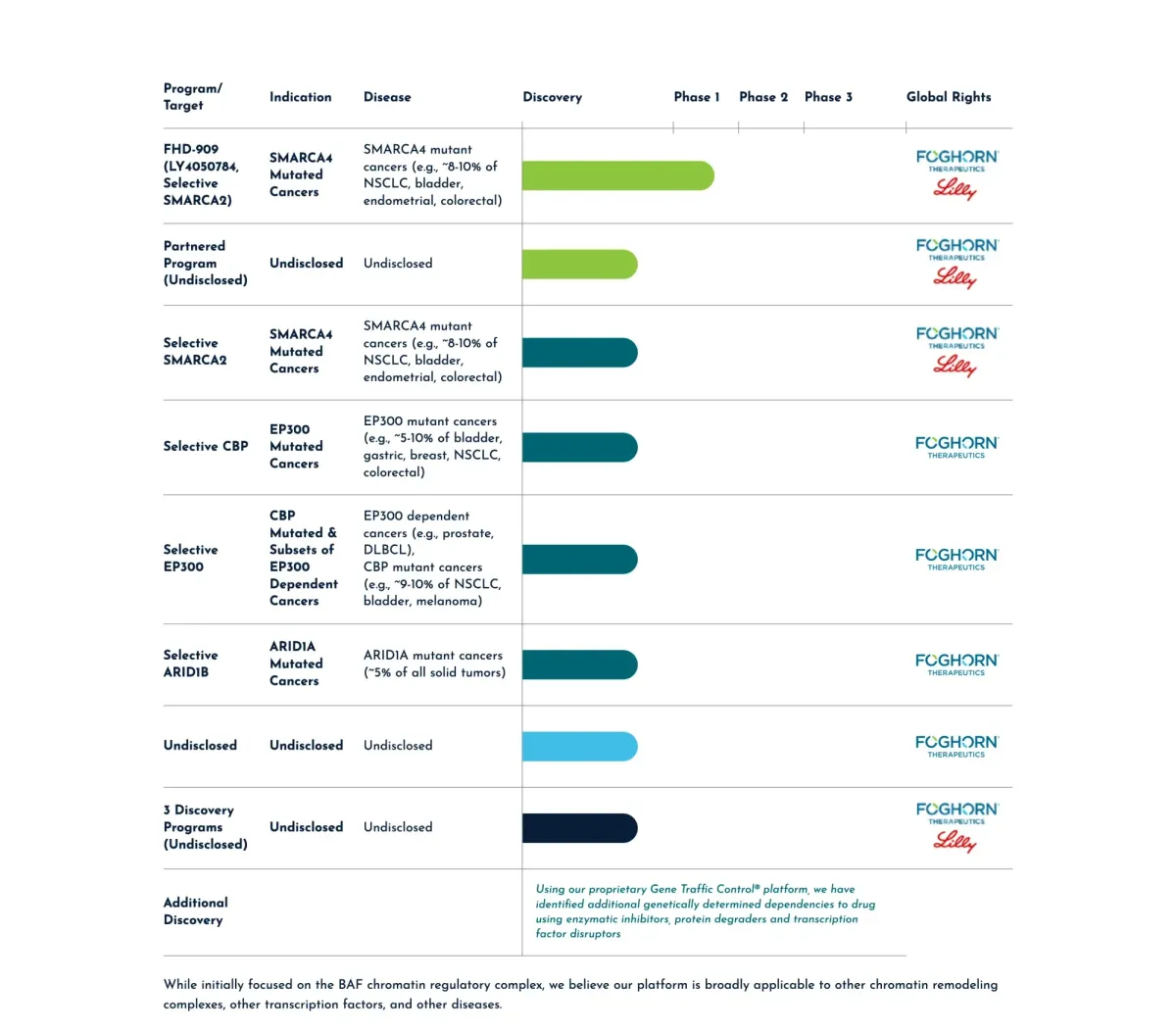 Stifel Bullish on Foghorn Therapeutics Stock