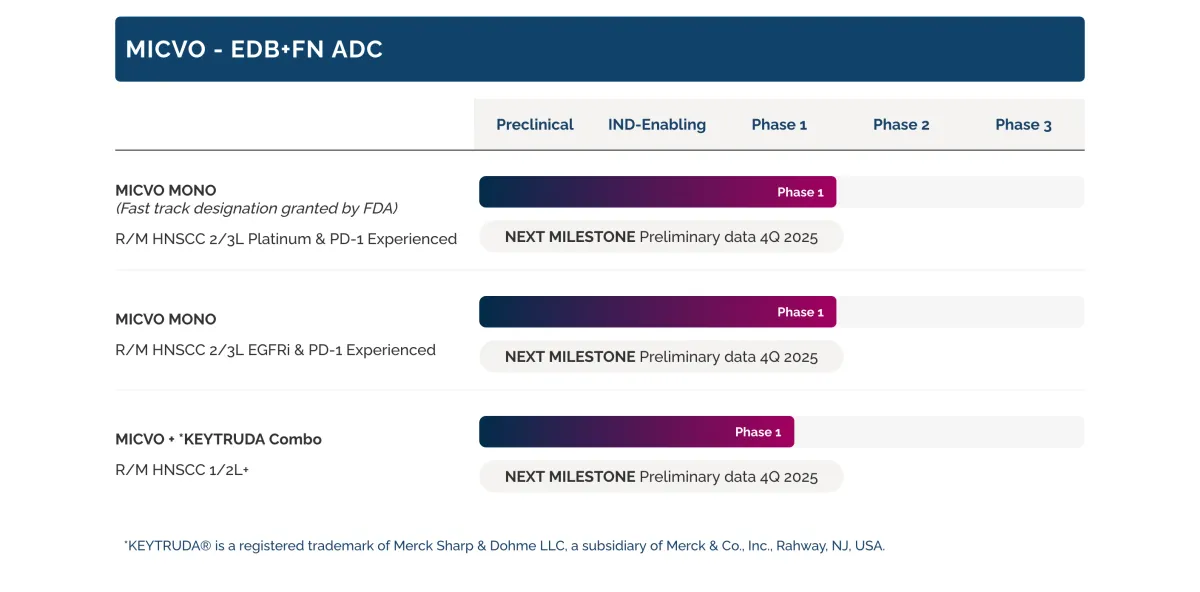 Pyxis Oncology's MICVO Shows Promise But Raises Concerns