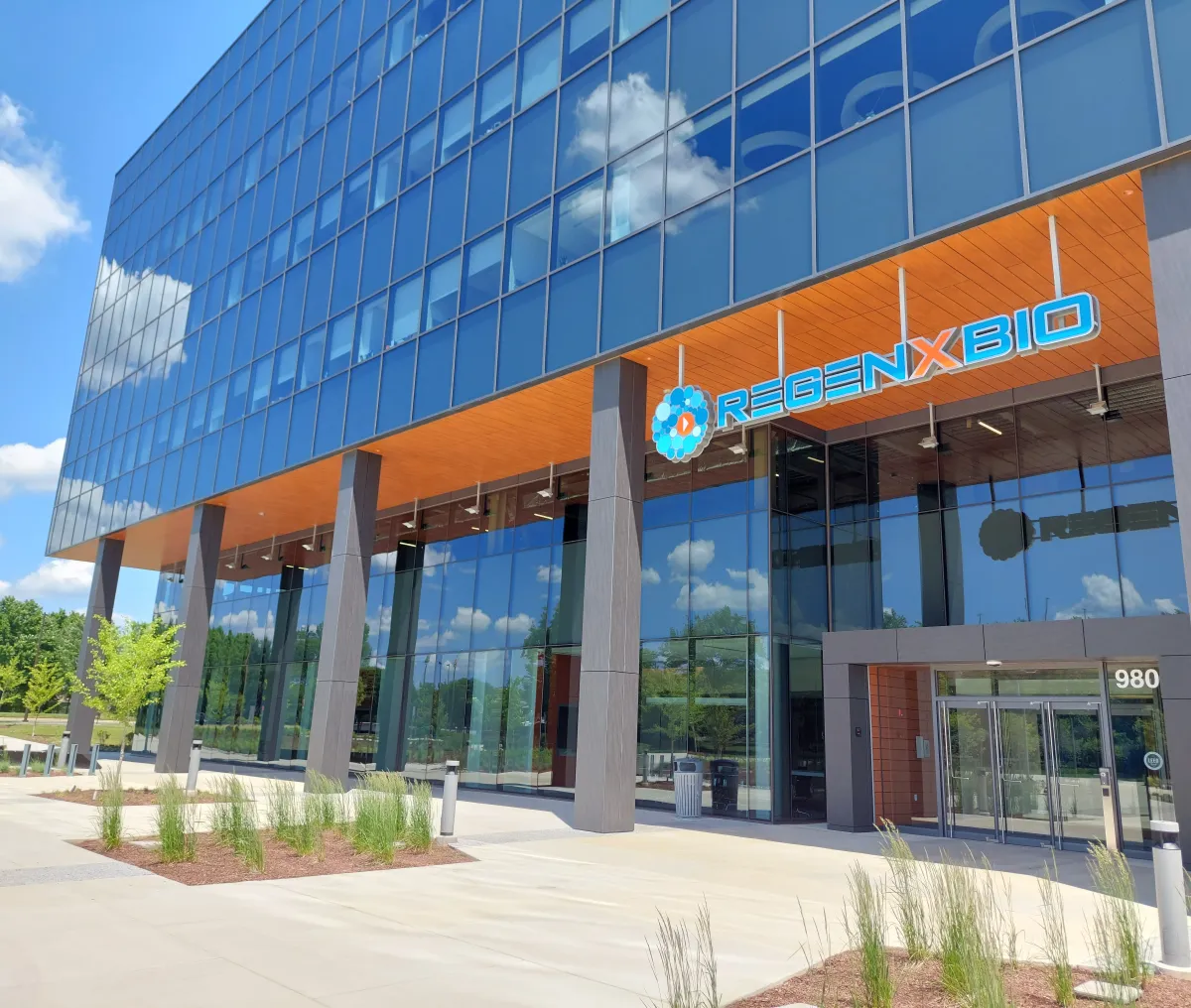 FDA Halts REGENXBIO Gene Therapy Trials After Brain Tumor Discovery