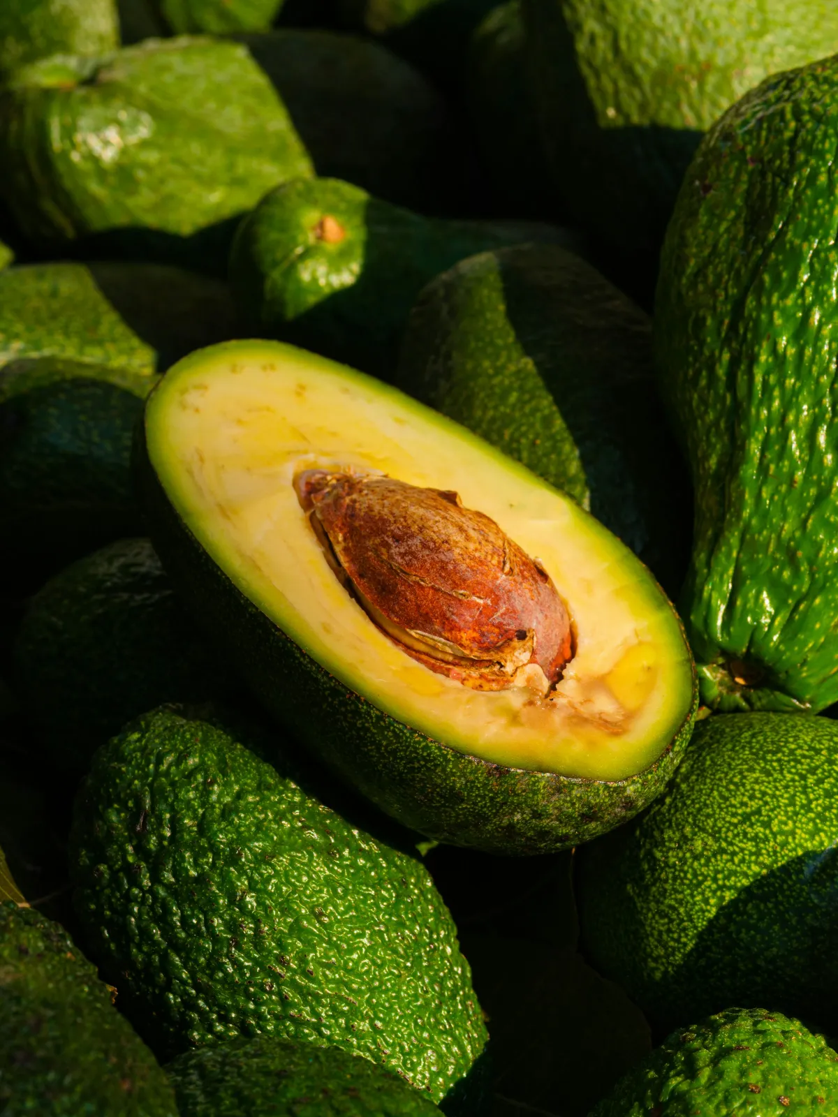 Mission Produce to Acquire Calavo Growers in Major Avocado Industry Deal