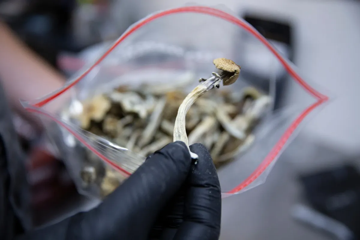 One DMT Dose Relieved Depression for Up to 6 Months