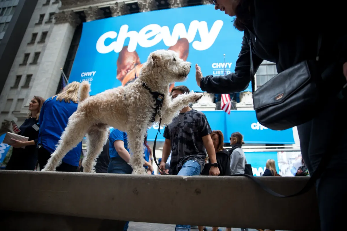 Raymond James Turns Bullish on Chewy: “Attractive” After 33% Drop
