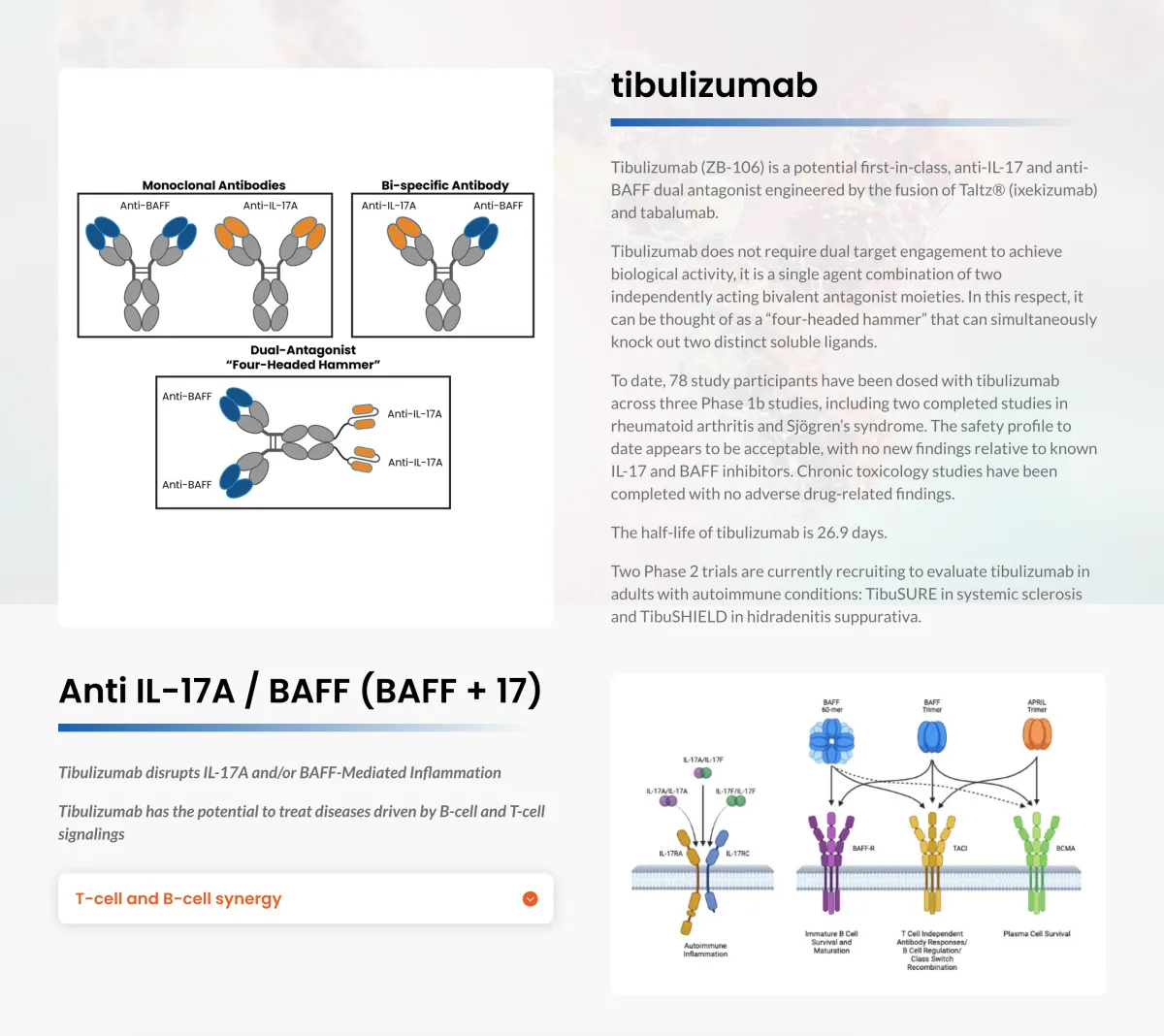 Wedbush Starts Coverage on Zura Bio with Positive Outlook