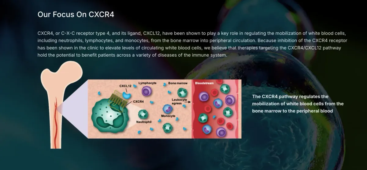 X4 Pharma’s Mavorixafor Wins Positive CHMP Opinion for WHIM Syndrome