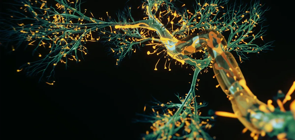 Rapport Therapeutics Lands $328M China Deal for Next-Gen Seizure Treatment RAP-219