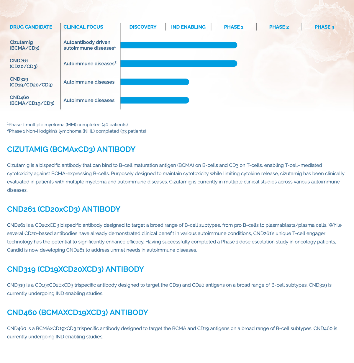 Rallybio Merges with Candid Therapeutics in $500M+ Deal to Build Autoimmune Powerhouse