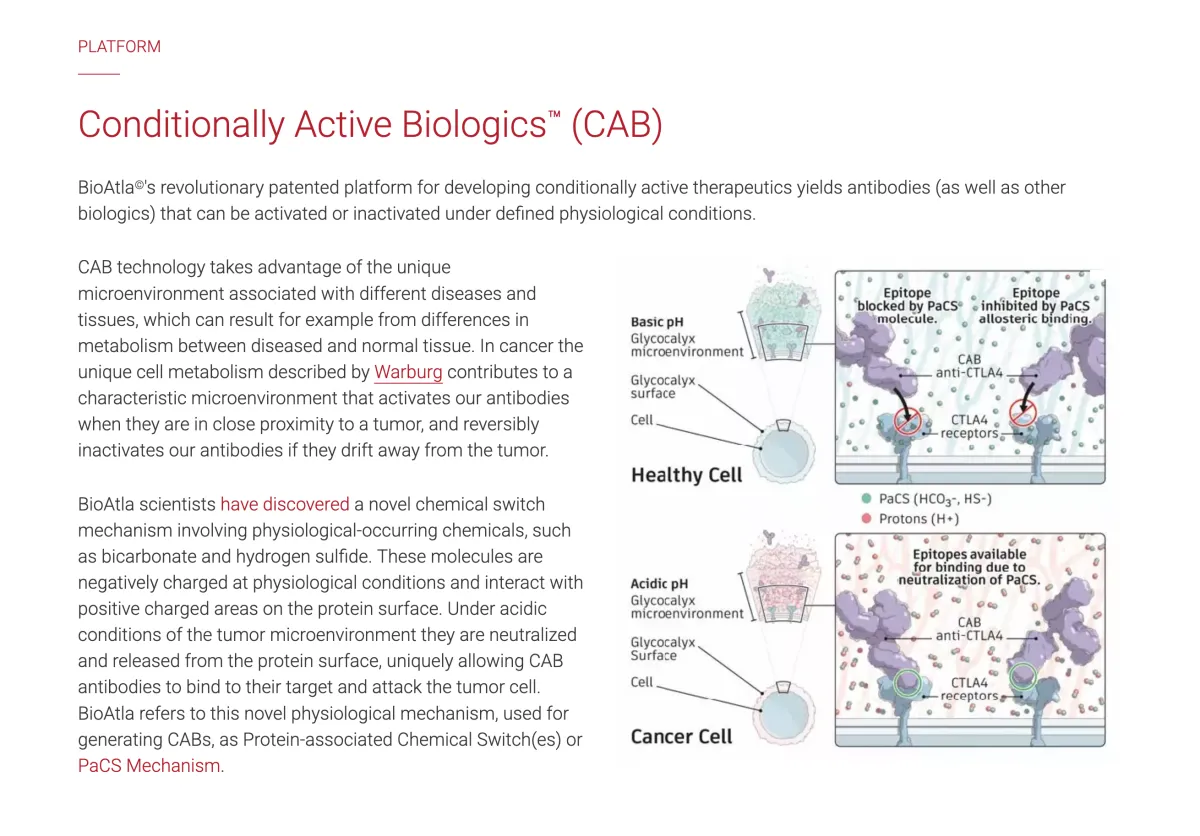 BioAtla Explores Ways to Sell or Partner on Cancer Drug Assets