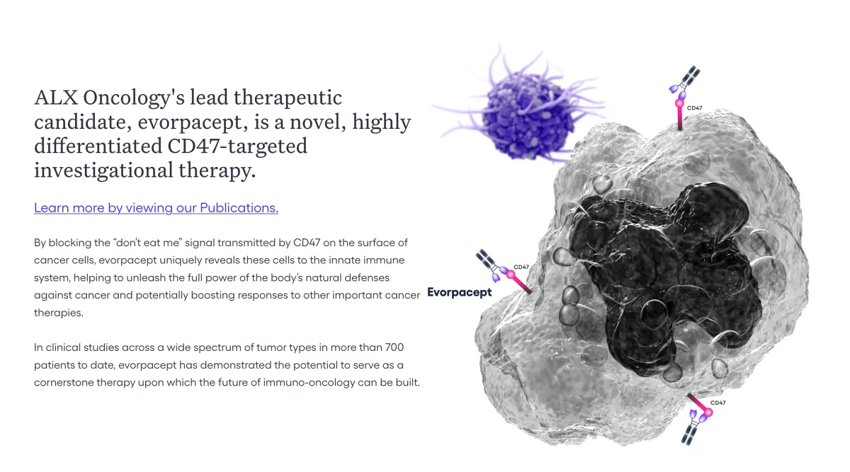 UBS Goes Bullish on ALXO: Buy Rating Highlights Evorpacept's Breast Cancer Promise