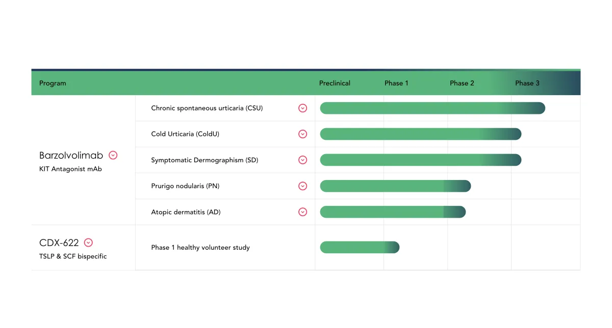 Wolfe Research Turns Bullish on Celldex, Upgrading to Outperform and Citing Stronger 2026 Catalysts