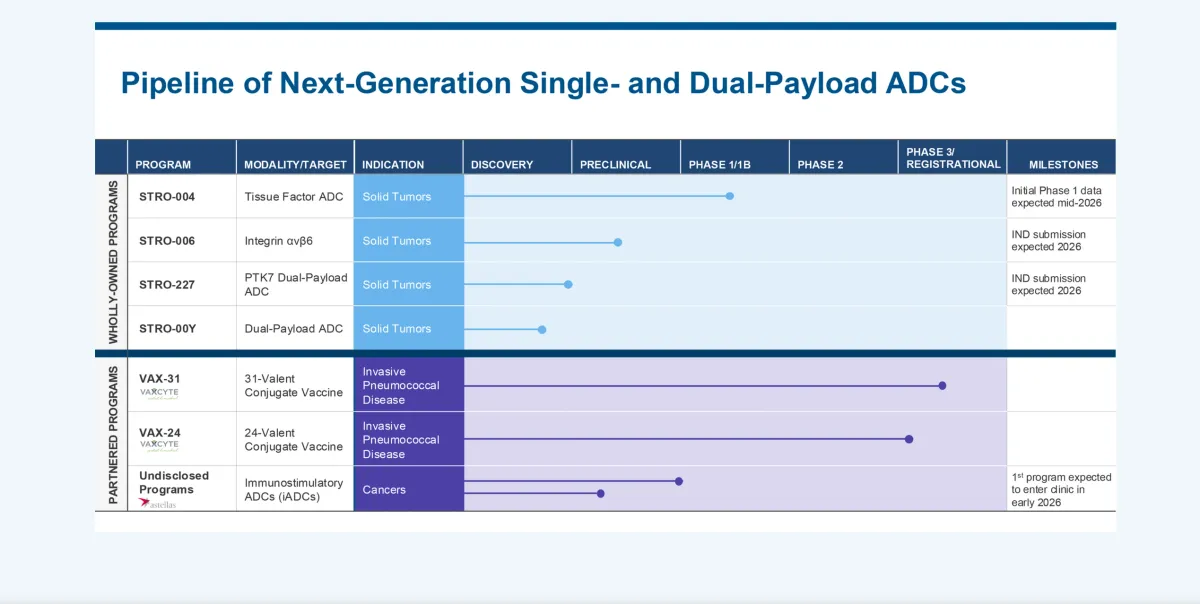 Wall Street Goes Bullish on Sutro Biopharma: Two Major Upgrades After Q4 Results