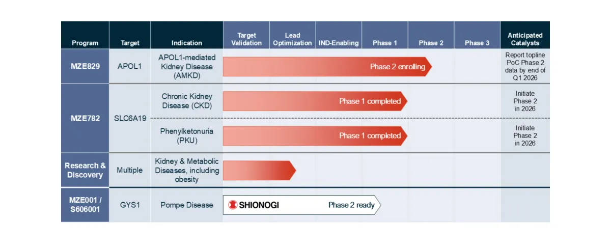 Why Investors Punished Maze Stock Despite Strong MZE829 Diabetes Data