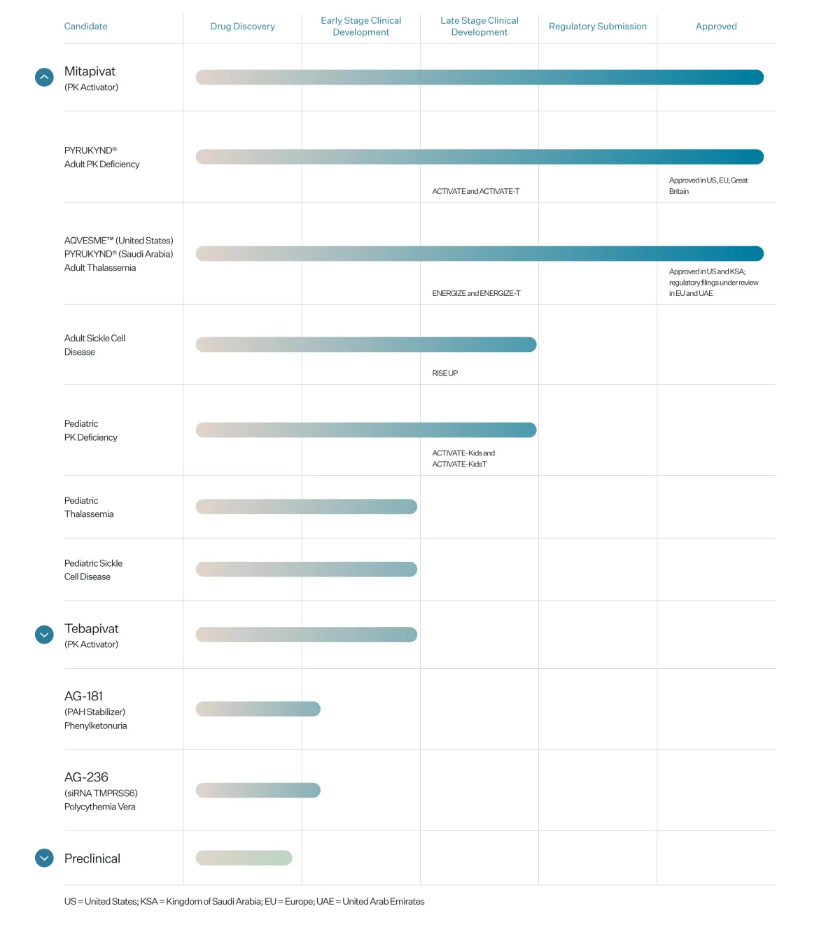 Agios Moves Closer to Fast FDA Approval for New Sickle Cell Pill