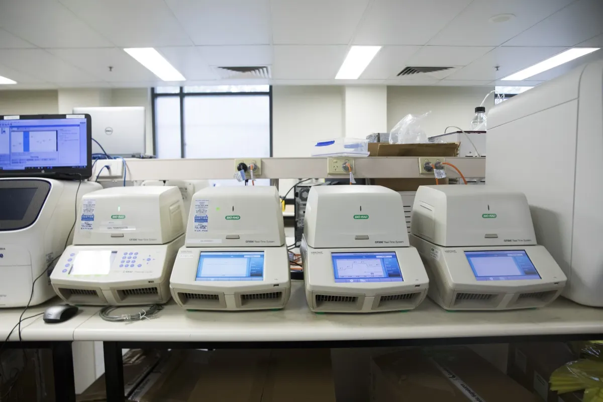 Bio-Rad Faces Headwinds as Citi Downgrades Shares to Neutral