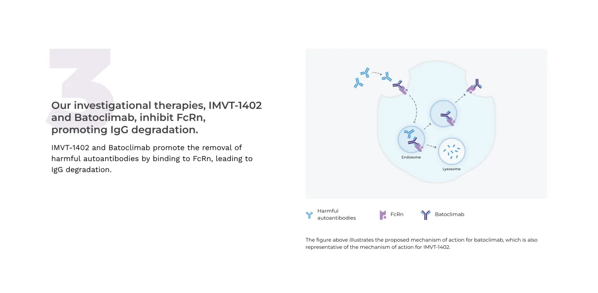 Immunovant’s Batoclimab Flops in Phase 3 Thyroid Eye Disease Trials