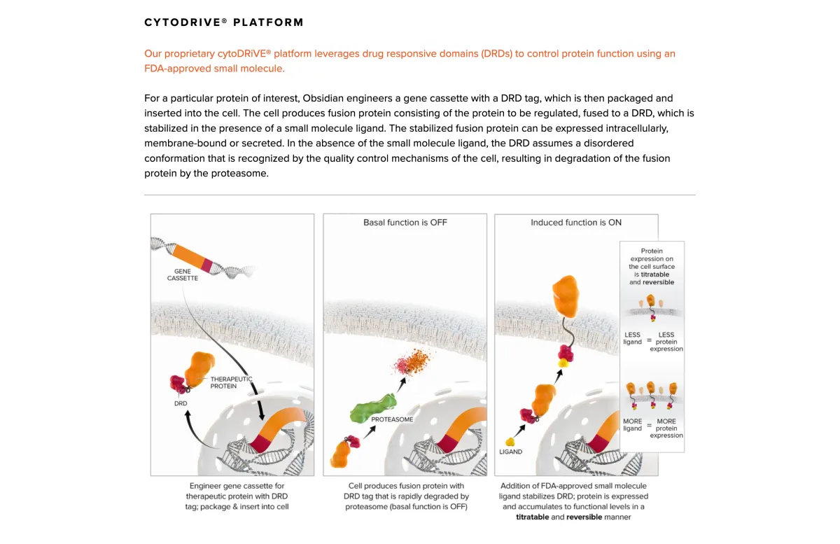 Obsidian Therapeutics to Merge with Galera and Raise $350 Million to Advance TIL Cell Therapy