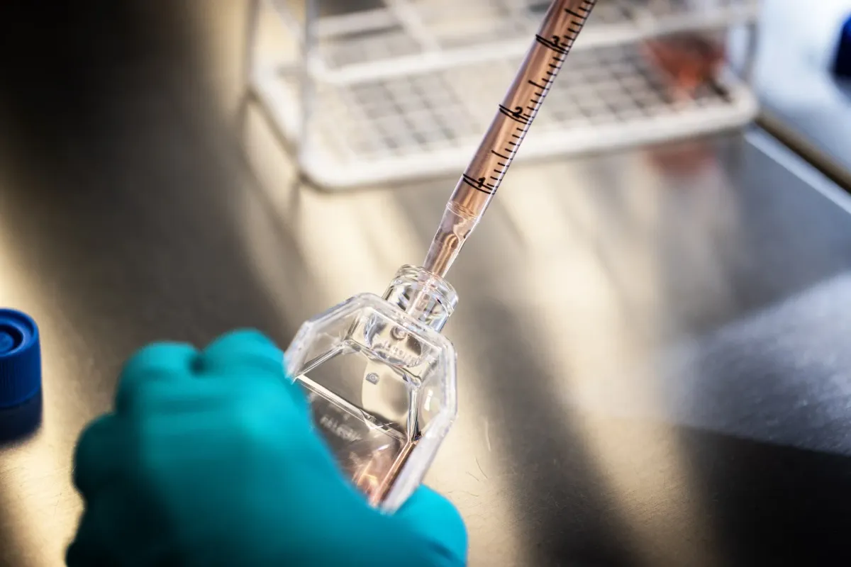 BioMarin Plans FDA Submission After Positive VOXZOGO Hypochondroplasia Trial