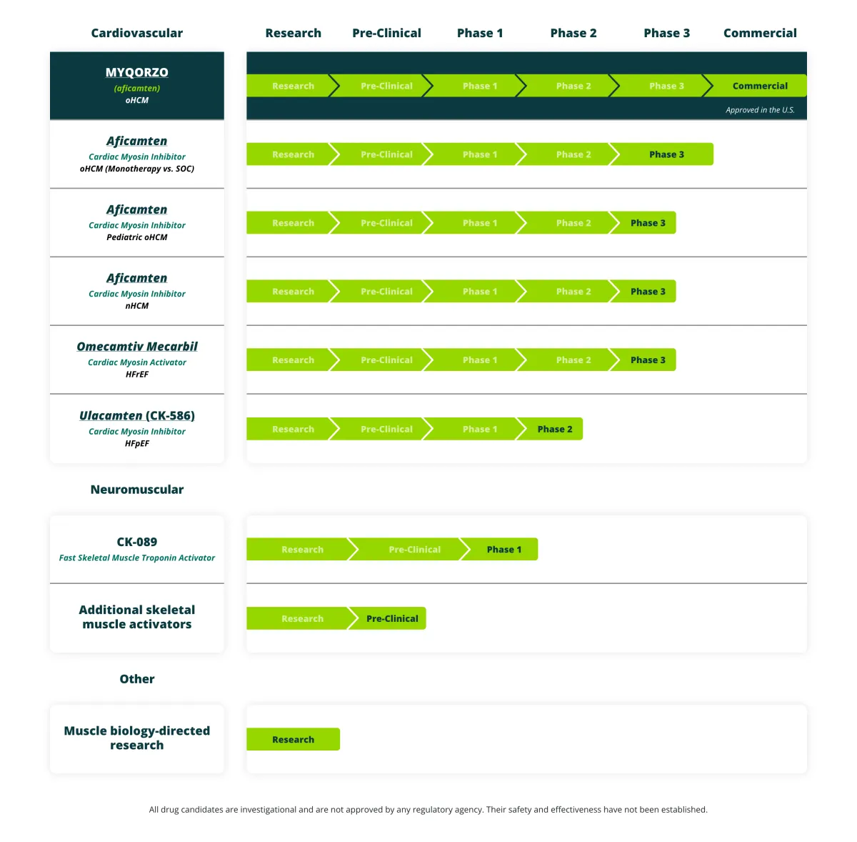 Cytokinetics’ Myqorzo Succeeds Where Camzyos Failed: Positive Phase 3 Results in Non-Obstructive HCM